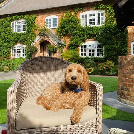 Little Woodside A Beautiful New Forest Self Contained Private Luxury Annexe New Milton Exterior foto
