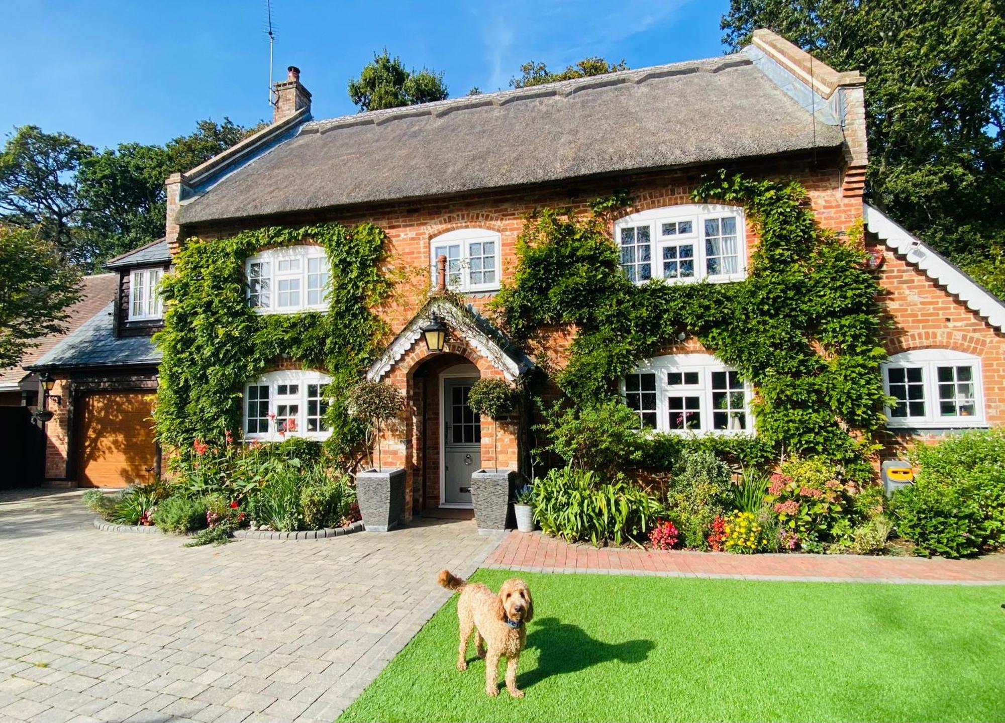 Little Woodside A Beautiful New Forest Self Contained Private Luxury Annexe New Milton Exterior foto
