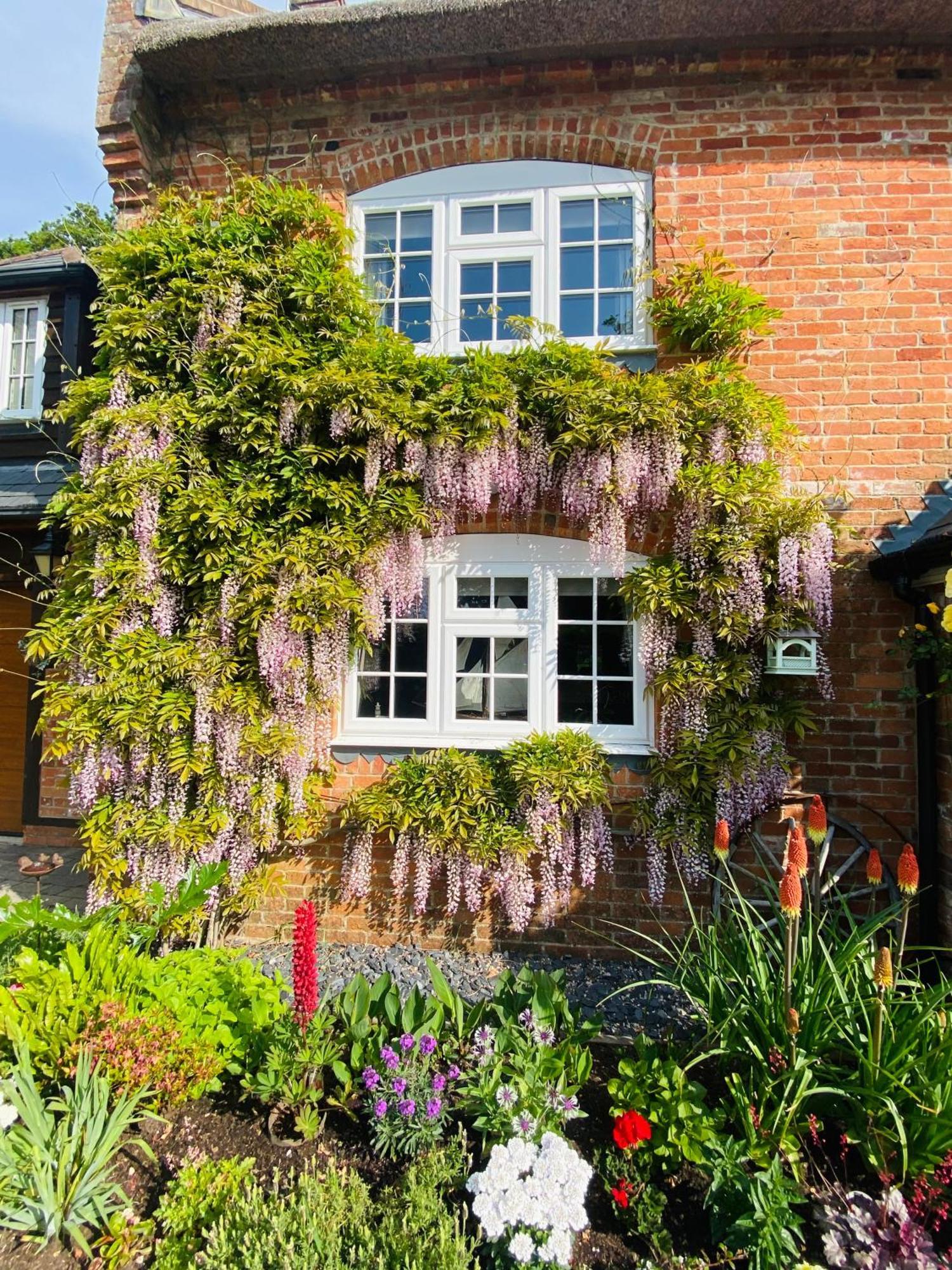 Little Woodside A Beautiful New Forest Self Contained Private Luxury Annexe New Milton Exterior foto