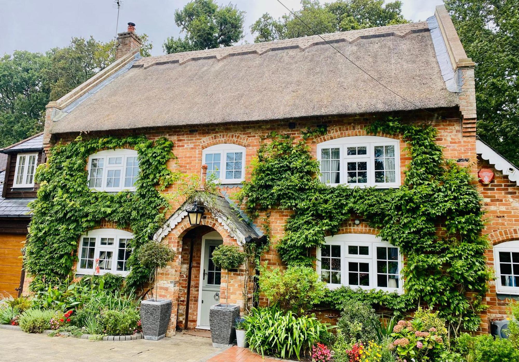 Little Woodside A Beautiful New Forest Self Contained Private Luxury Annexe New Milton Exterior foto