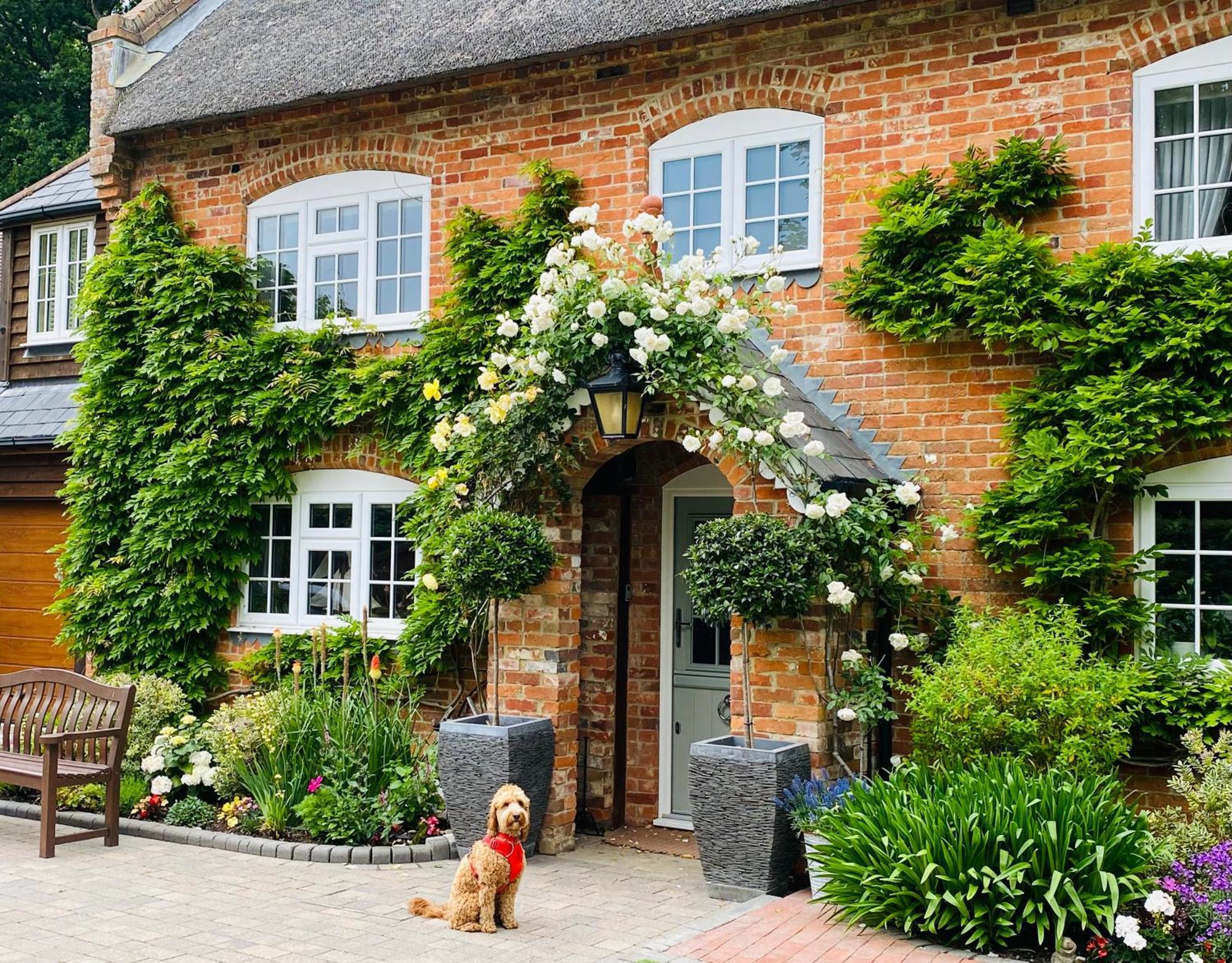 Little Woodside A Beautiful New Forest Self Contained Private Luxury Annexe New Milton Exterior foto