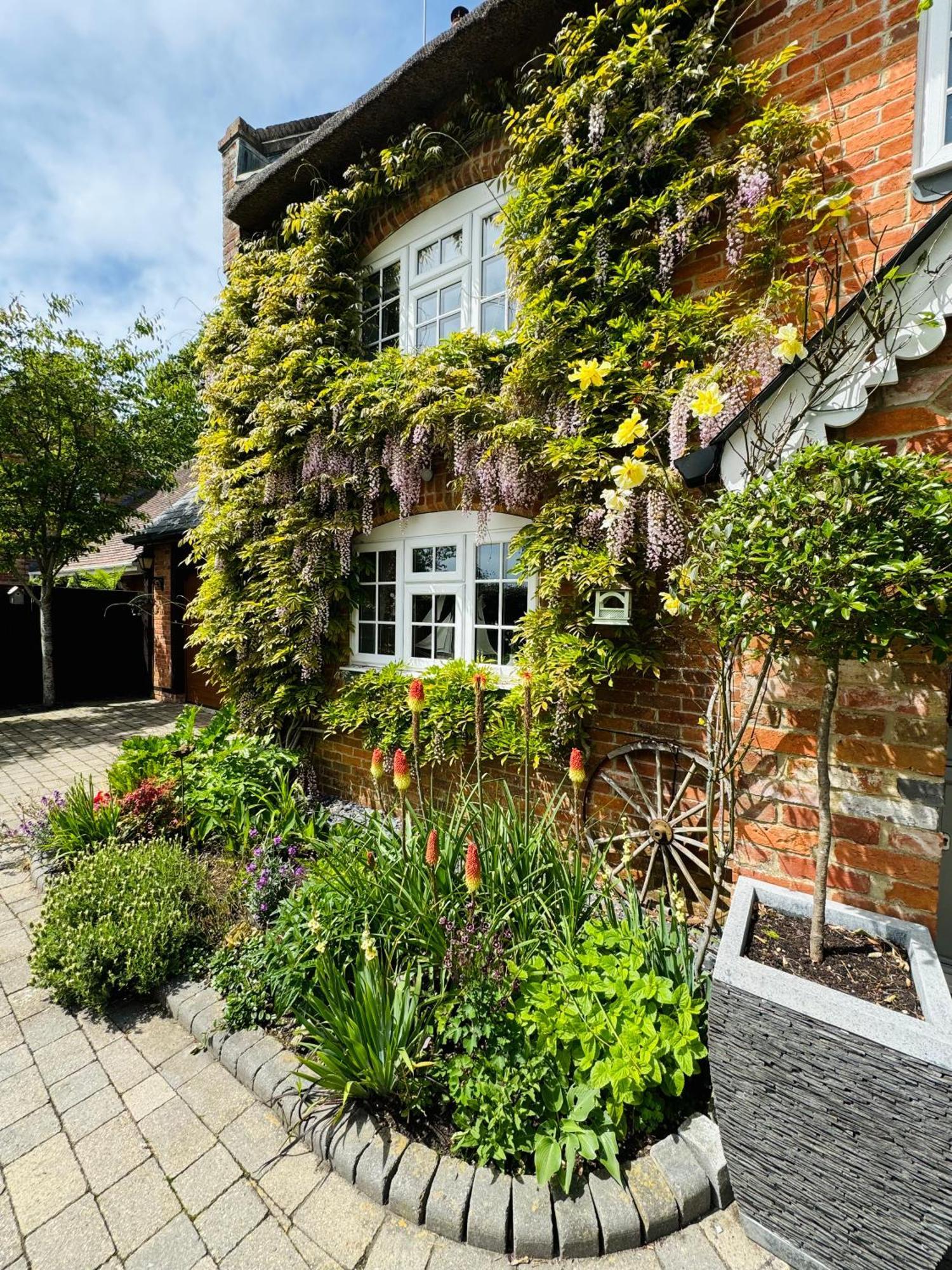 Little Woodside A Beautiful New Forest Self Contained Private Luxury Annexe New Milton Exterior foto