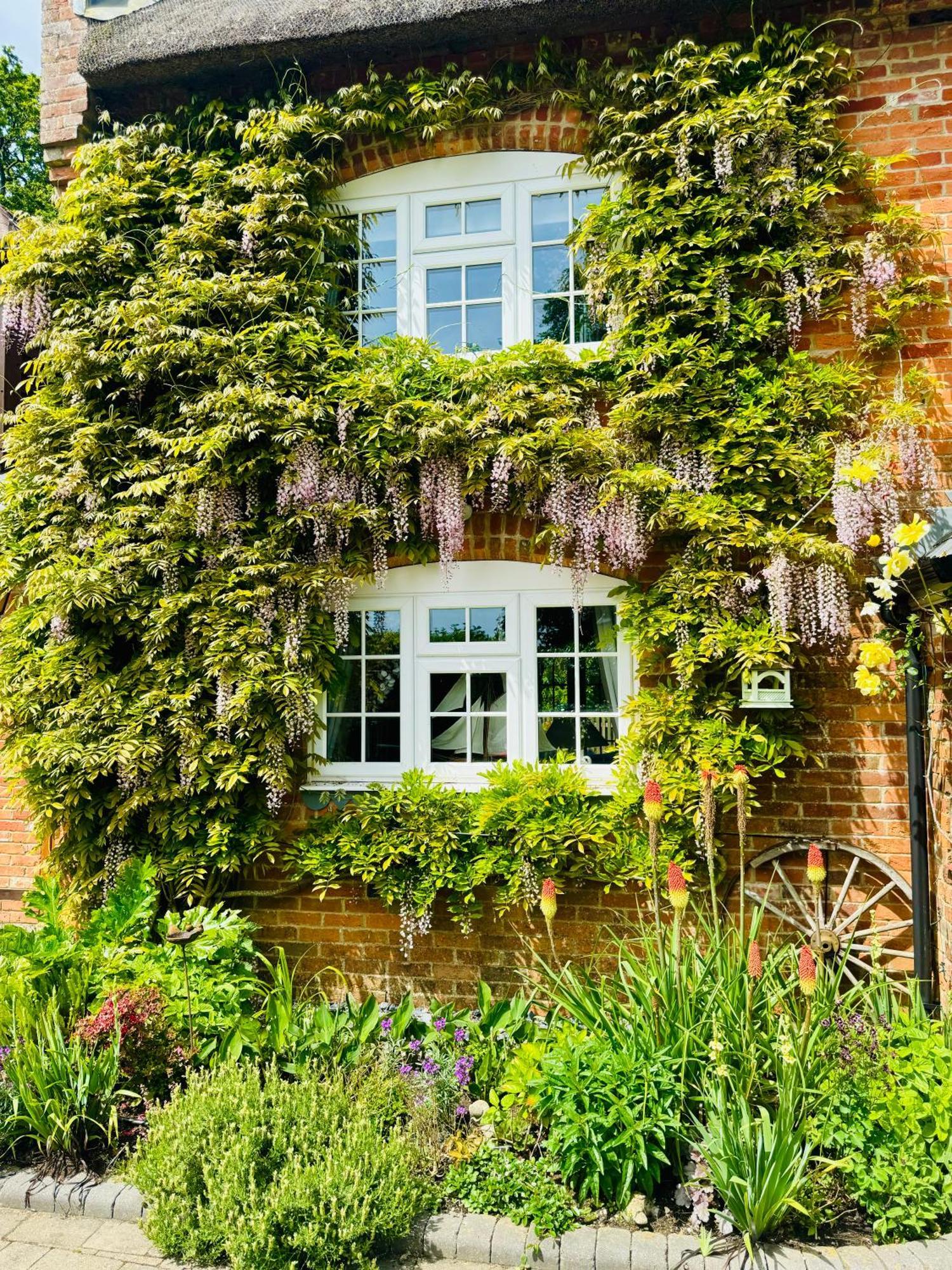 Little Woodside A Beautiful New Forest Self Contained Private Luxury Annexe New Milton Exterior foto
